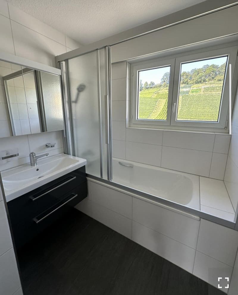 4 Zimmer-Wohnung, 9425 Thal (6)