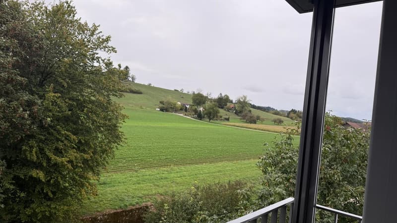 3 ½ Zimmer-Wohnung, 8555 Müllheim Dorf (5)