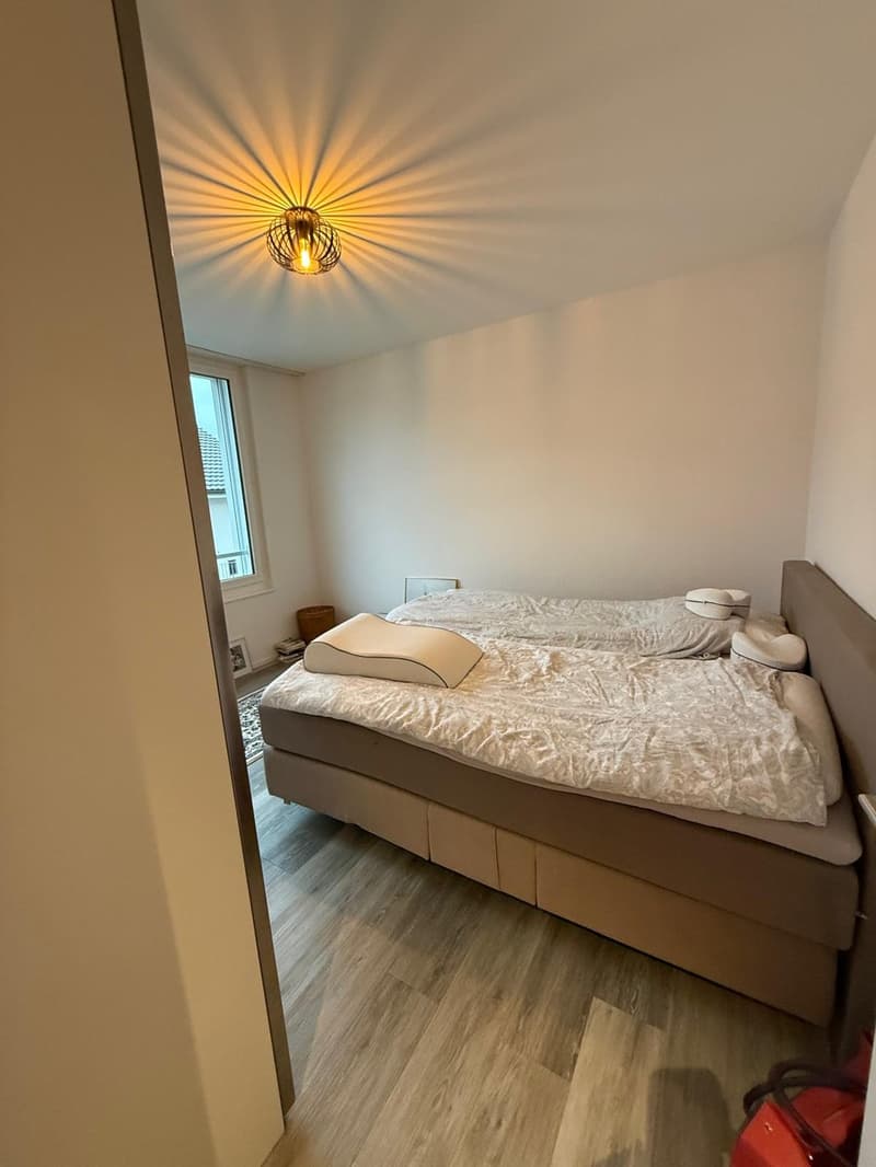 3 ½ Zimmer-Wohnung, 8555 Müllheim Dorf (6)