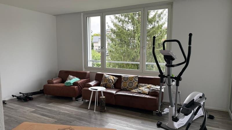 3 ½ Zimmer-Wohnung, 8555 Müllheim Dorf (7)
