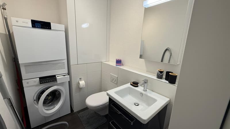 3 ½ Zimmer-Wohnung, 8555 Müllheim Dorf (3)
