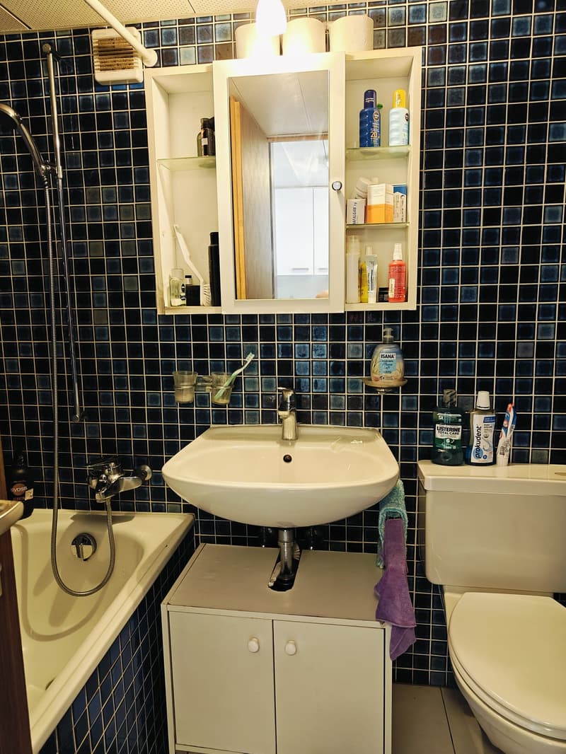 Möbiliertes 1.5-Zimmer-Studio mit Bergblick in Naters (5)