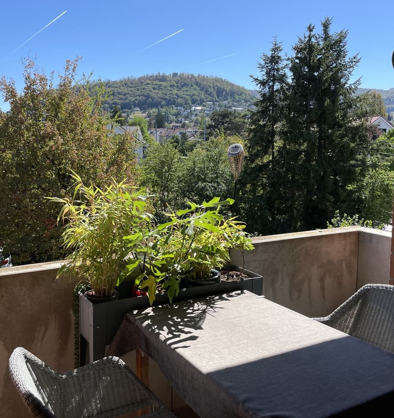 Maisonette-Wohnung 3,5 Zimmer (8)