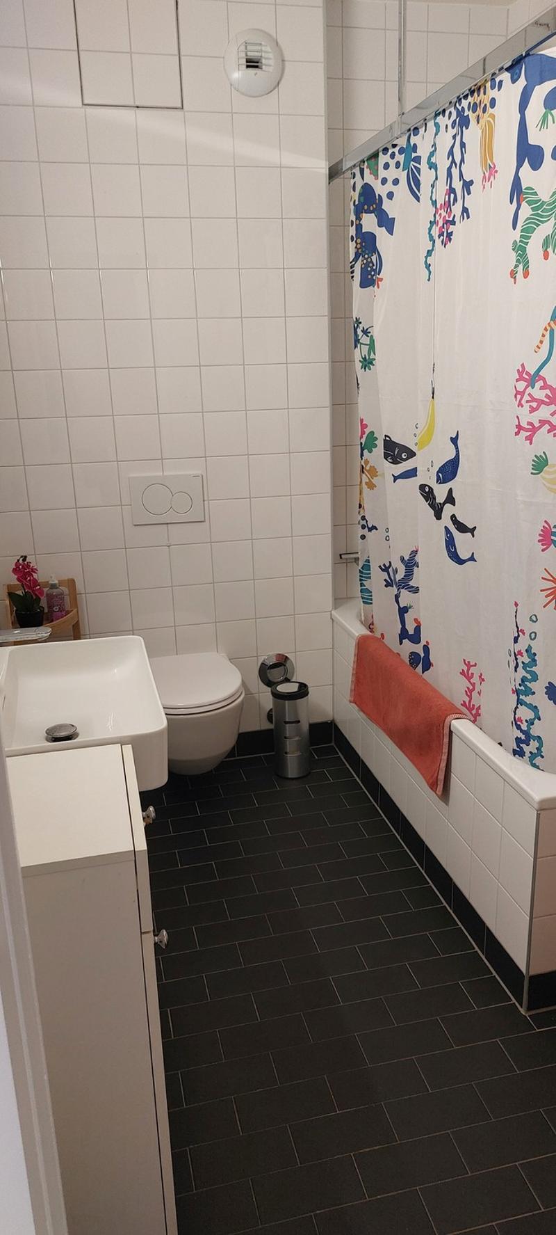 2.5 room apartment for temporary rental sublet in 1209 Petit-Sacconex - Geneva (2)