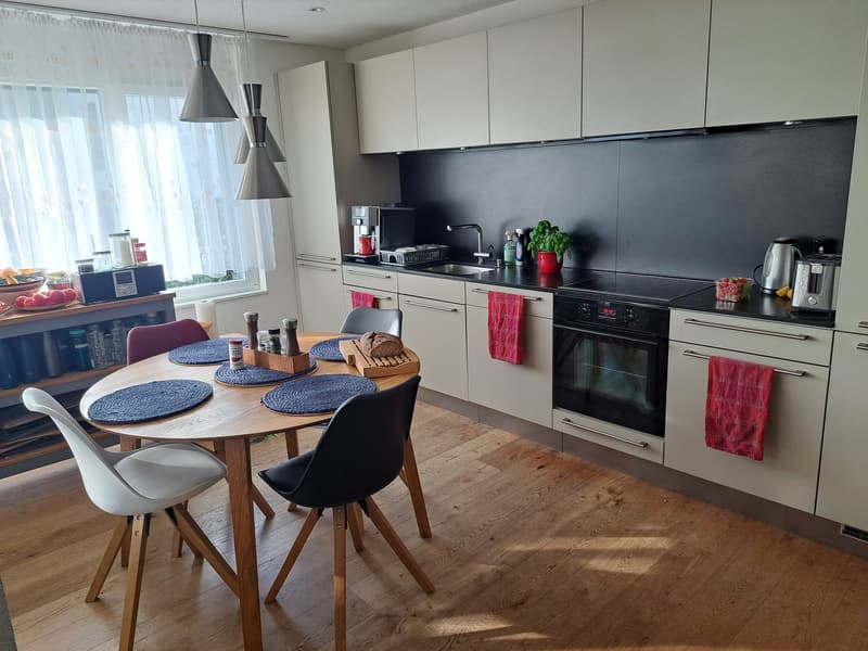 Moderne, teilmöblierte 4.5-Zimmer-Wohnung in Birmensdorf ZH zur befristeten Untermiete (4)