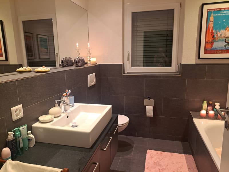 Moderne, teilmöblierte 4.5-Zimmer-Wohnung in Birmensdorf ZH zur befristeten Untermiete (8)