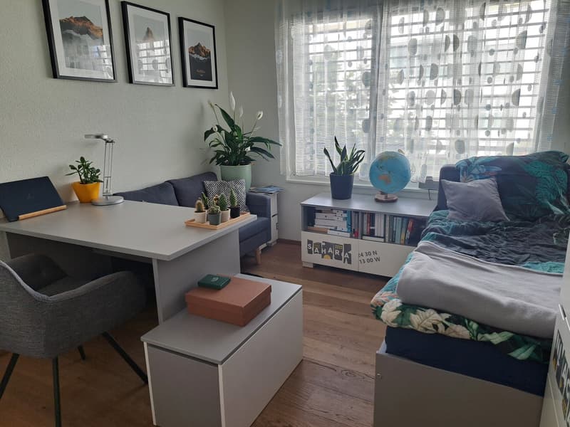 Moderne, teilmöblierte 4.5-Zimmer-Wohnung in Birmensdorf ZH zur befristeten Untermiete (9)