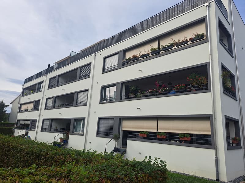 Moderne, teilmöblierte 4.5-Zimmer-Wohnung in Birmensdorf ZH zur befristeten Untermiete (11)