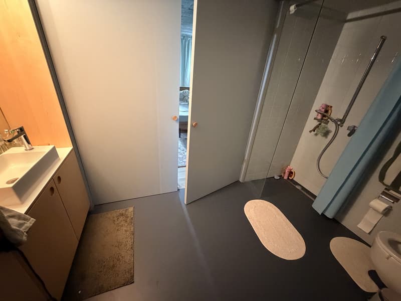 Gemütliche Wohnung in Basel zur befristeten Untermiete (2)