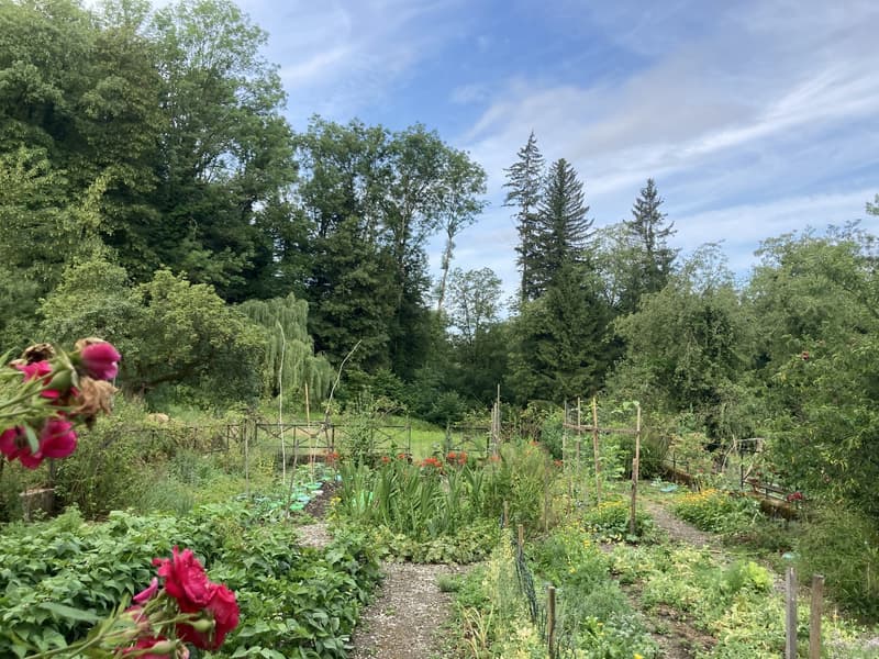 Gemeinschaftlicher Garten