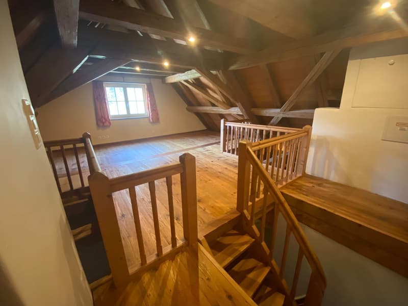 Grosses WG-Zimmer im Grünen (3)