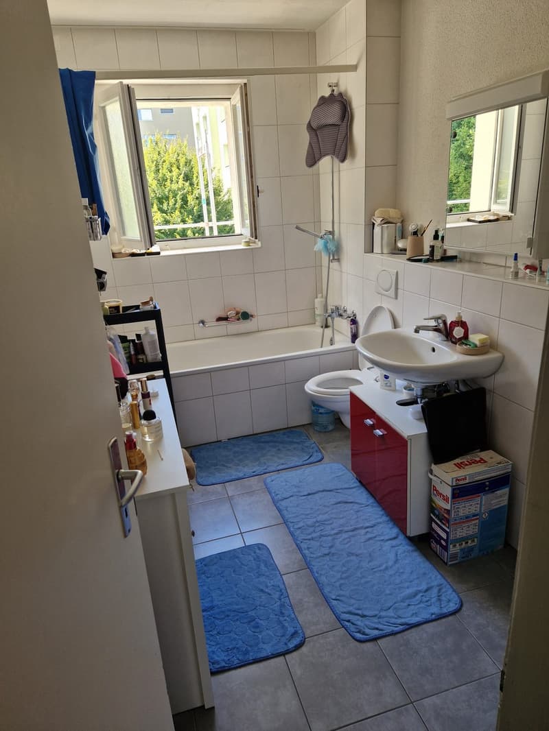 Wohnen im Schönbühlquartier neben dem Wald (6)