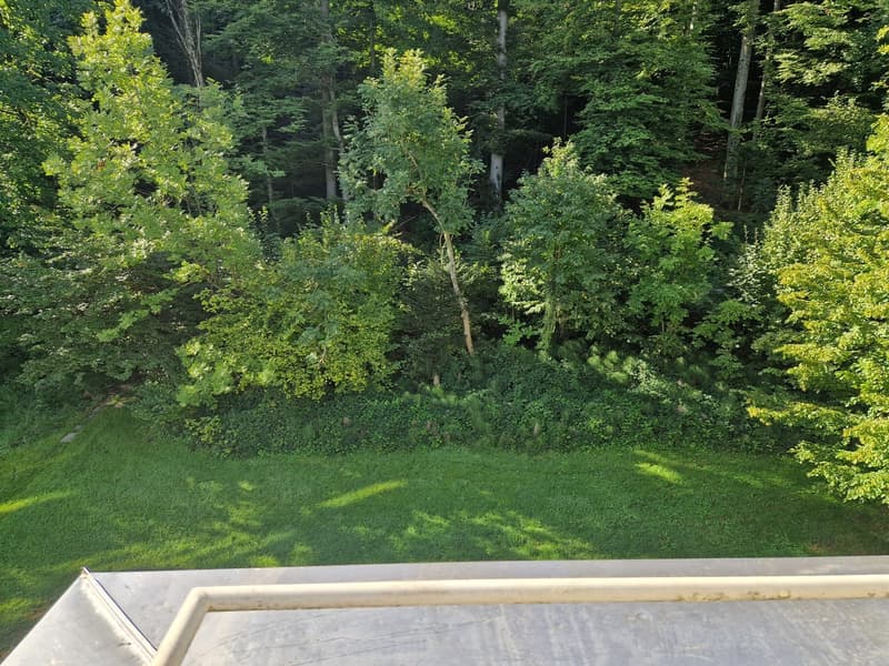 Wohnen im Schönbühlquartier neben dem Wald (9)