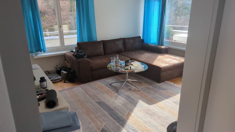 Wohnen im Schönbühlquartier neben dem Wald (4)