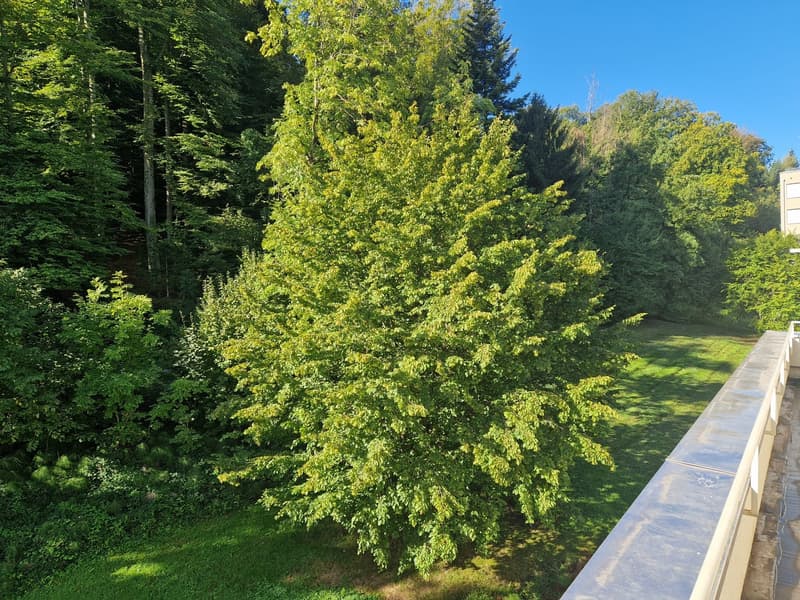 Wohnen im Schönbühlquartier neben dem Wald (10)