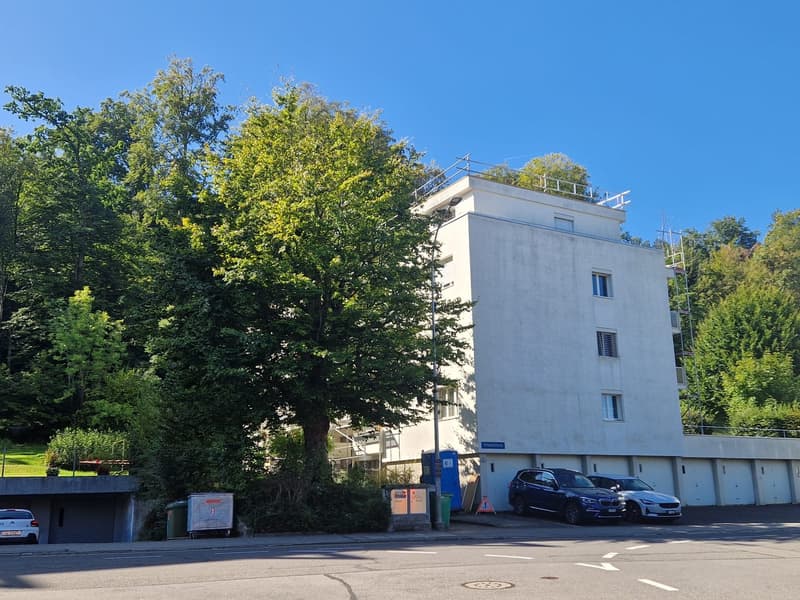 Wohnen im Schönbühlquartier neben dem Wald (8)