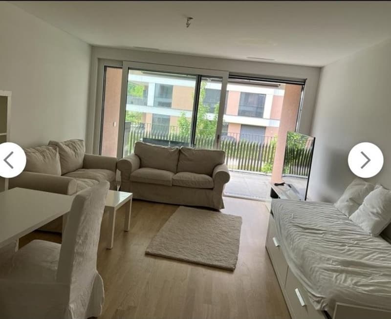 Modern 1-Bedroom Serviced Apartment in Basel  Fully Furnished (2)