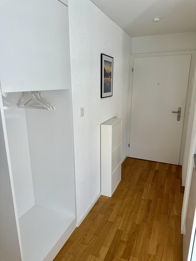Helle, modern möblierte 2.5-Zimmer-Wohnung mit Balkon & Parkplatz 5 Min. zu Fuss zum LUKS (10)