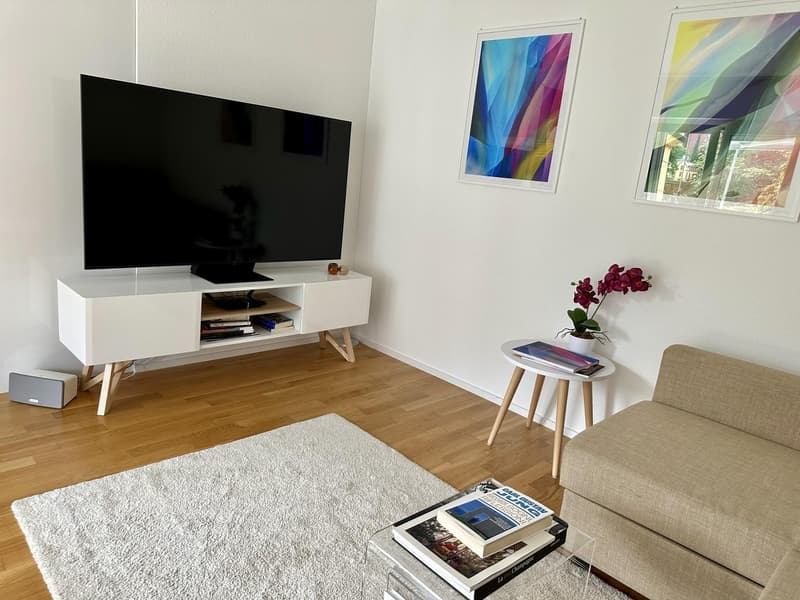 Helle, modern möblierte 2.5-Zimmer-Wohnung mit Balkon & Parkplatz 5 Min. zu Fuss zum LUKS (3)