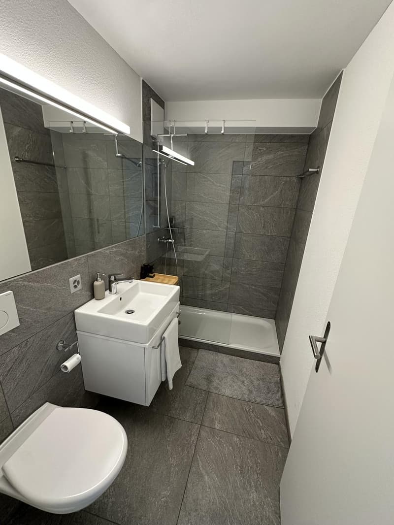 Helle, modern möblierte 2.5-Zimmer-Wohnung mit Balkon & Parkplatz 5 Min. zu Fuss zum LUKS (5)
