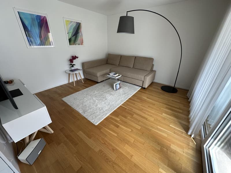 Helle, modern möblierte 2.5-Zimmer-Wohnung mit Balkon & Parkplatz 5 Min. zu Fuss zum LUKS (2)
