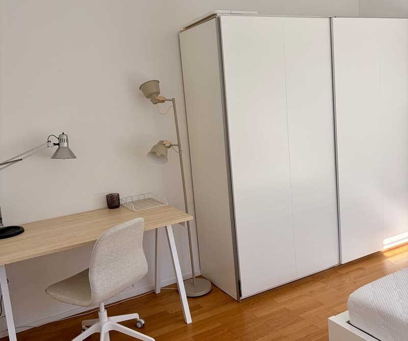 Bright Room in Beautiful Loft-Style Apartment (7)