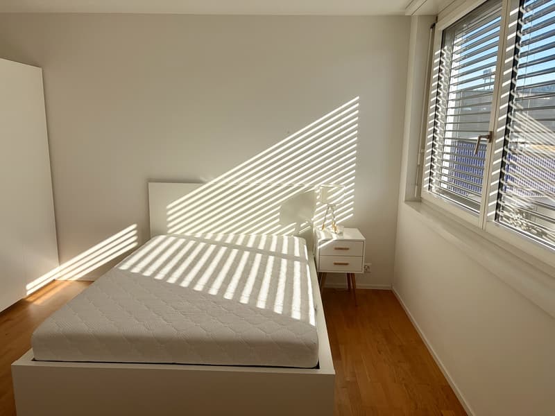 Bright Room in Beautiful Loft-Style Apartment (4)
