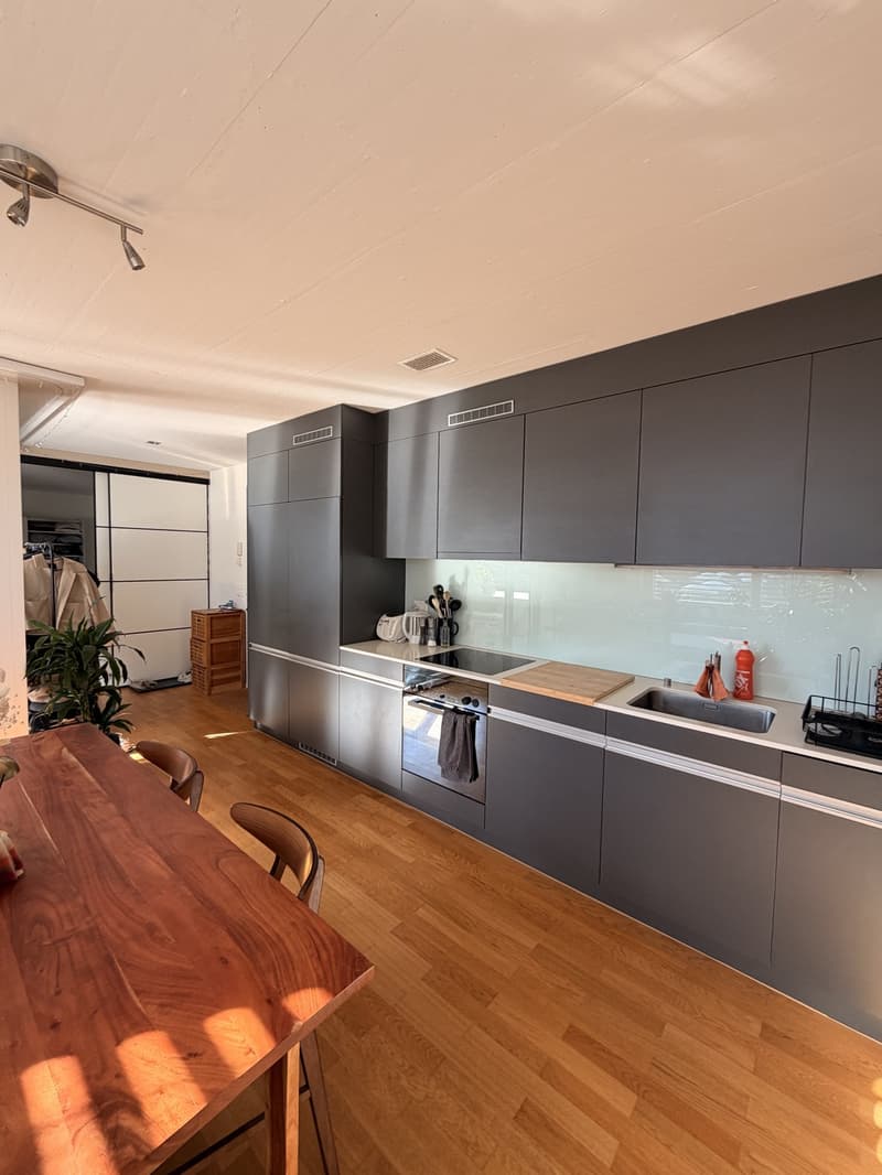 Bright Room in Beautiful Loft-Style Apartment (8)