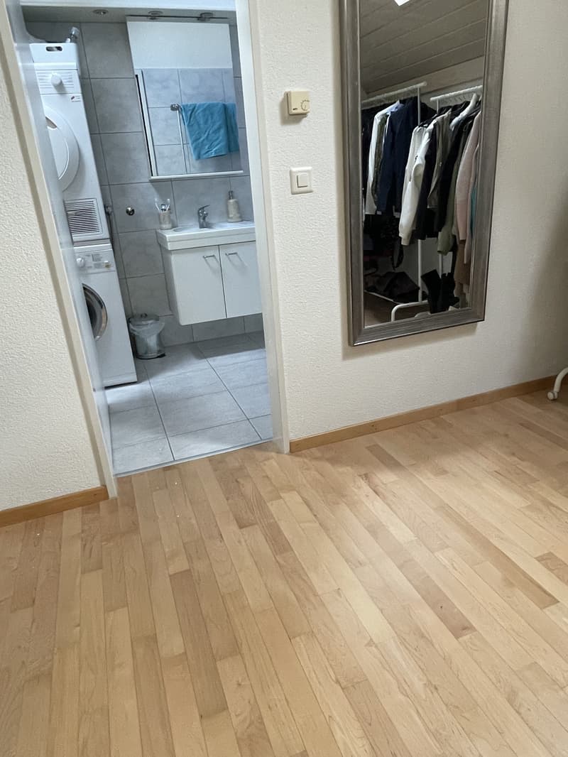 Temporary fully furnished flat (3)