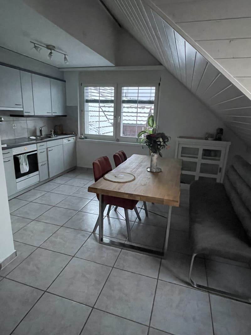 Temporary fully furnished flat (2)