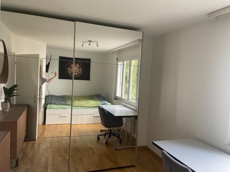 Möbliertes Zimmer in Uni-Nähe, 4.5-Zimmer-Wohnung (Januar Mai/Juni) (1)