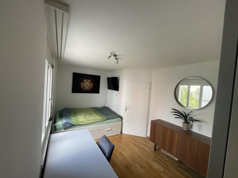 Möbliertes Zimmer in Uni-Nähe, 4.5-Zimmer-Wohnung (Januar Mai/Juni) (4)