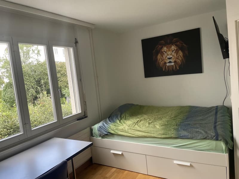 Möbliertes Zimmer in Uni-Nähe, 4.5-Zimmer-Wohnung (Januar Mai/Juni) (2)