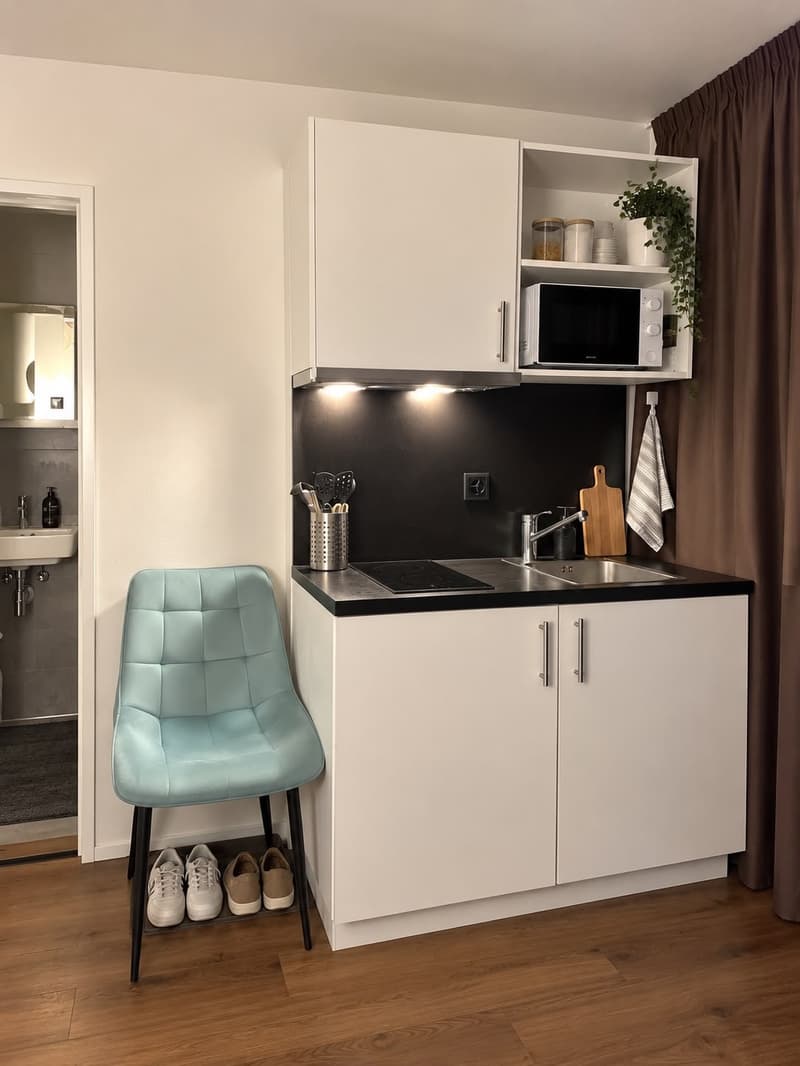 Furnished Studio in Lucerne Available from October 2026 (2)