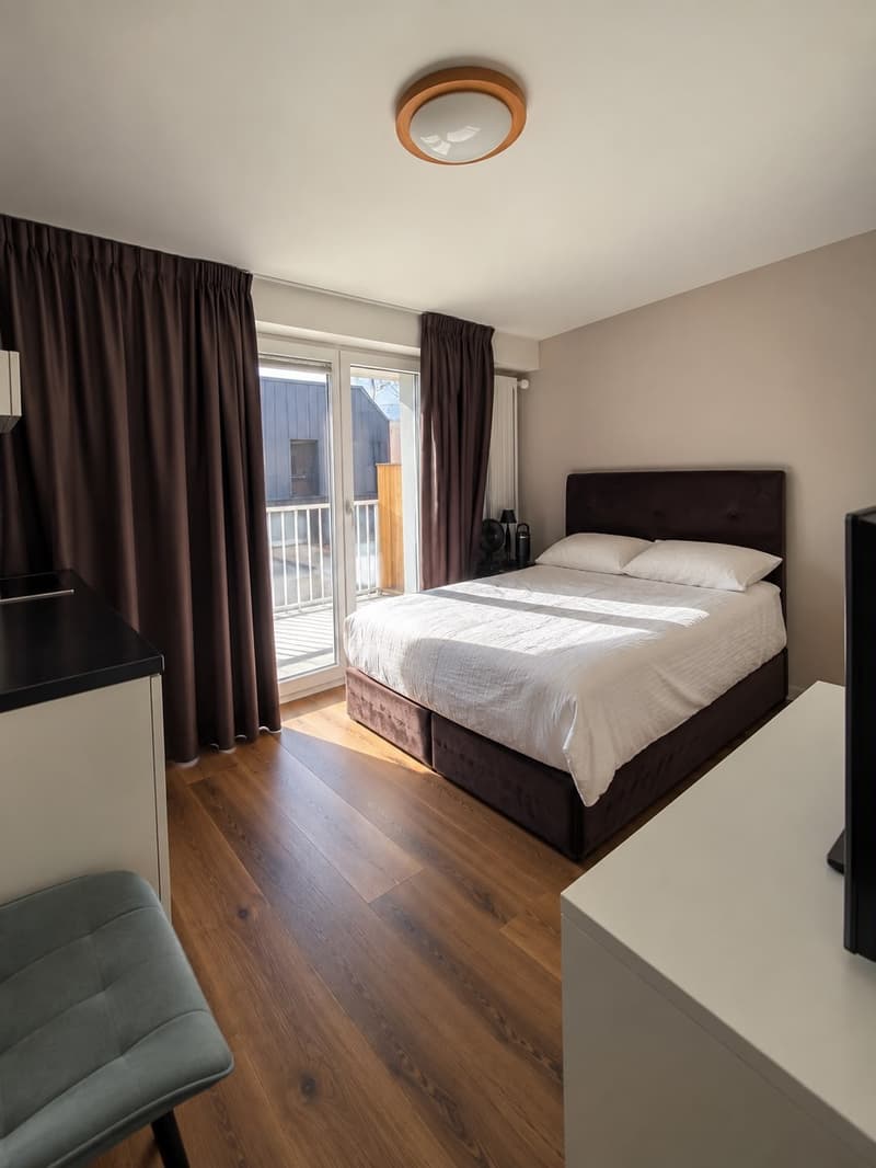 Furnished Studio in Lucerne Available from October 2026 (1)