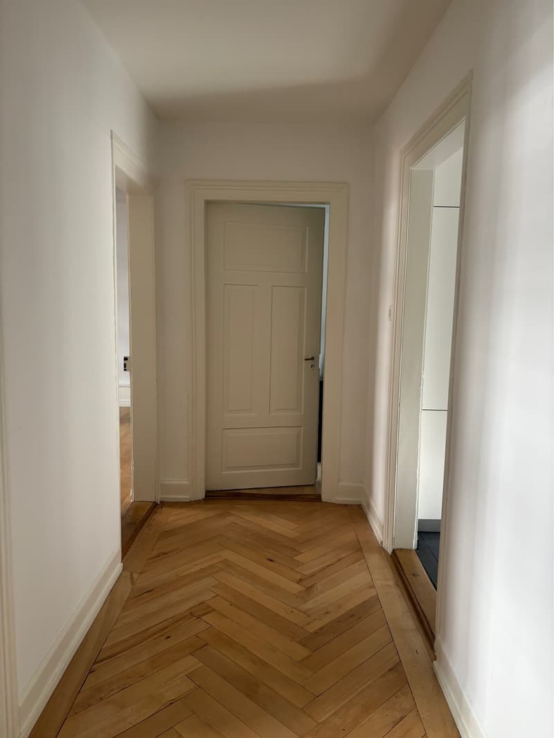 Bright flat to rent in Zurich Wiedikon (4)