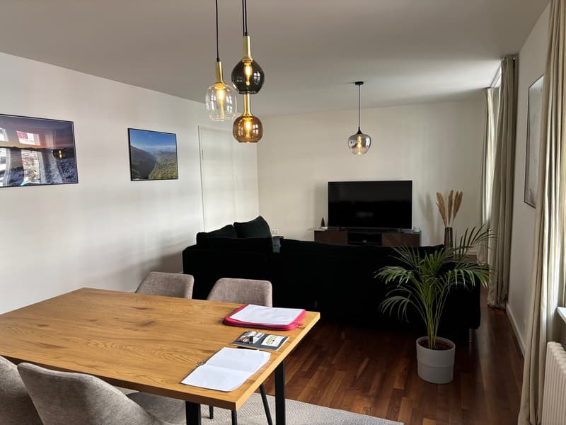 Bright flat to rent in Zurich Wiedikon (2)