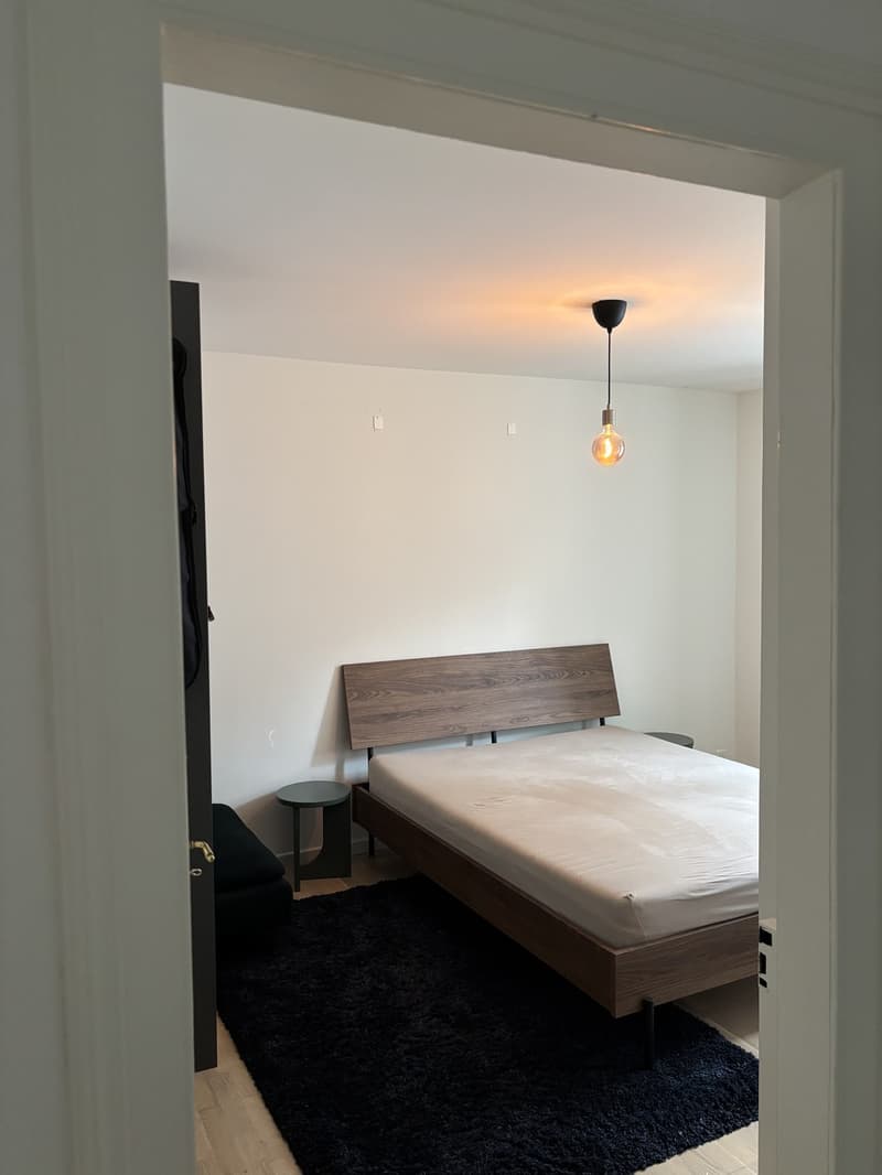 Bright flat to rent in Zurich Wiedikon (5)