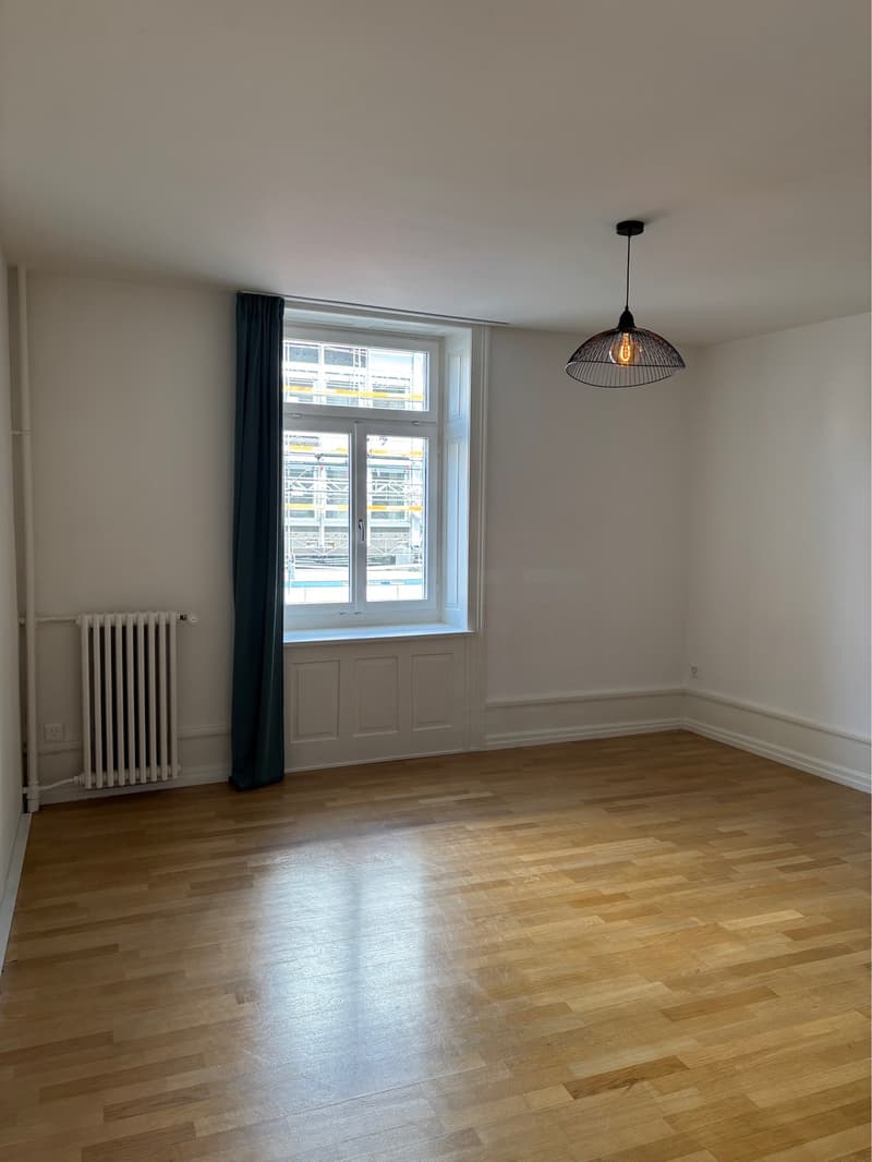 Bright flat to rent in Zurich Wiedikon (3)