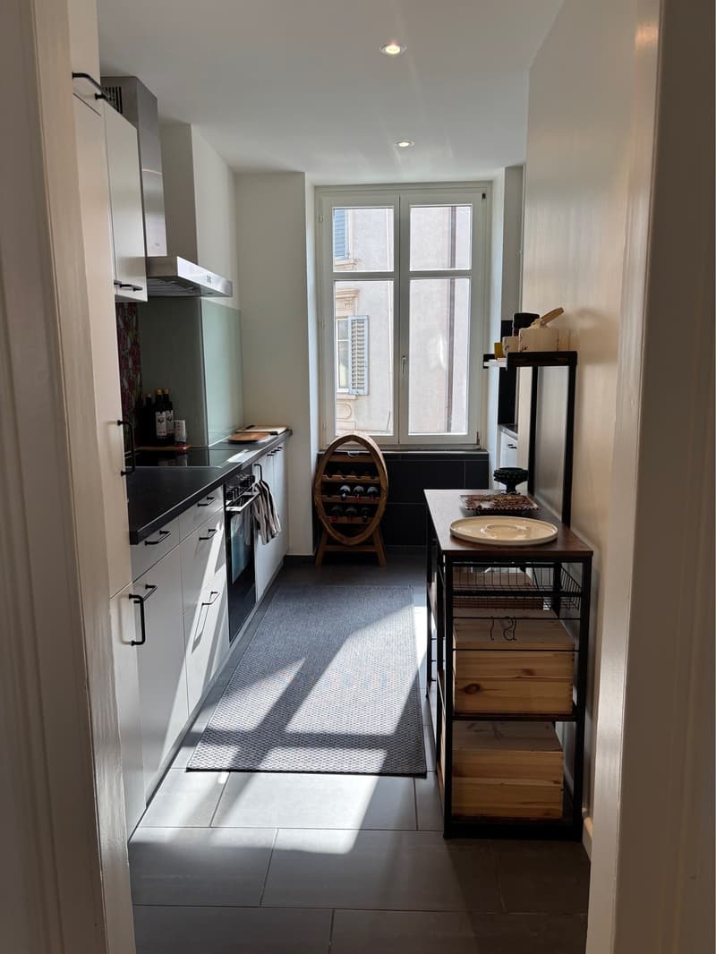 Bright flat to rent in Zurich Wiedikon (6)