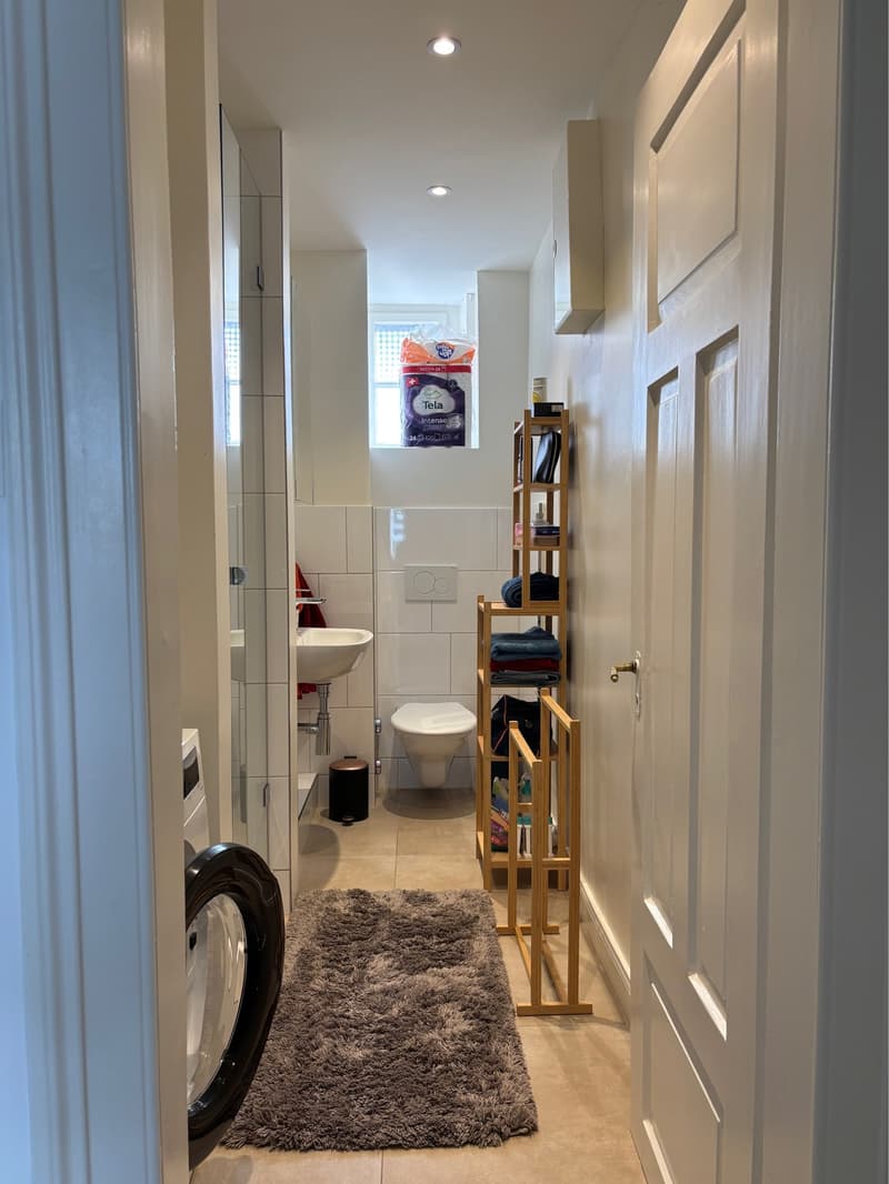 Bright flat to rent in Zurich Wiedikon (7)