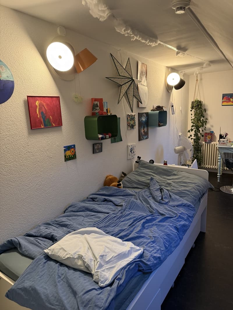6 ½ Zimmer-Wohnung, 3011 Bern (5)