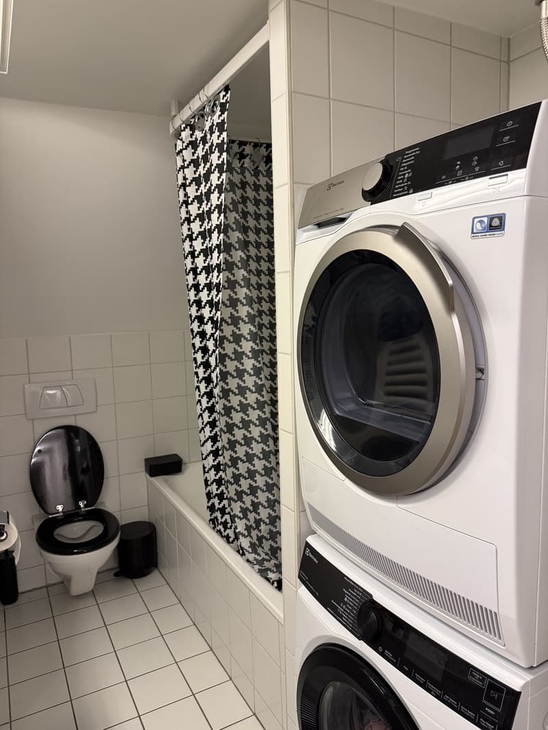 6 ½ Zimmer-Wohnung, 3011 Bern (3)