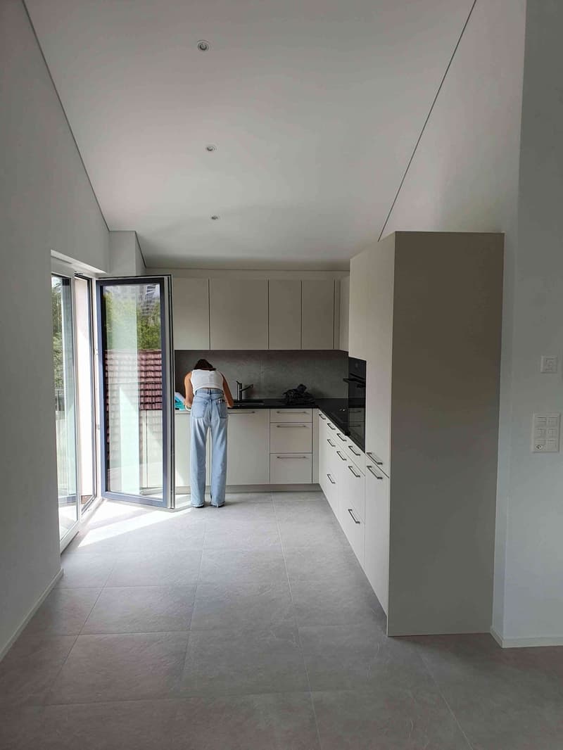 REPRISE DE BAIL - IMMEUBLE 2025 - 3.5pc AU 2ème ETAGE (ATTIC) (3)