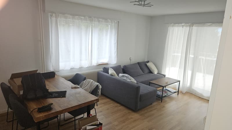 2 1/2 Zimmer-Wohnung (1)