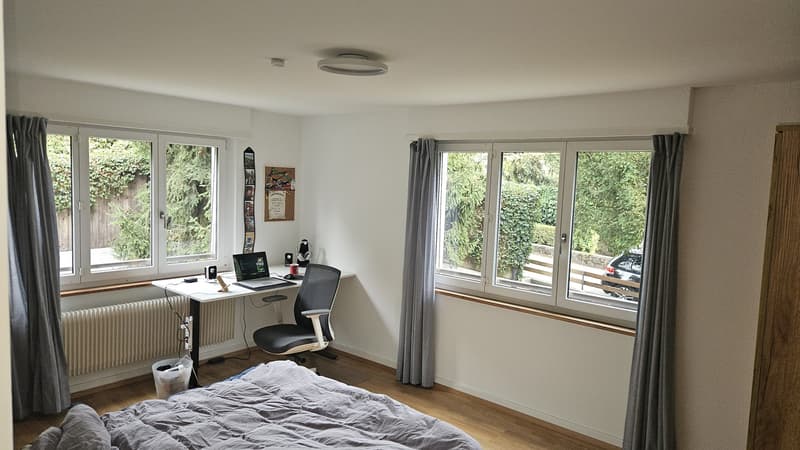 2 1/2 Zimmer-Wohnung (2)