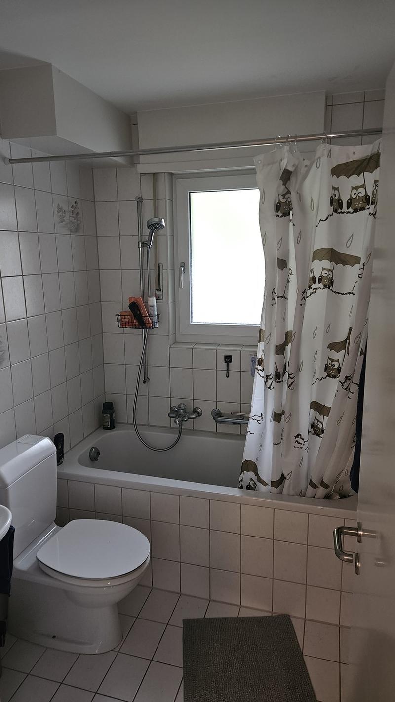 2 1/2 Zimmer-Wohnung (3)