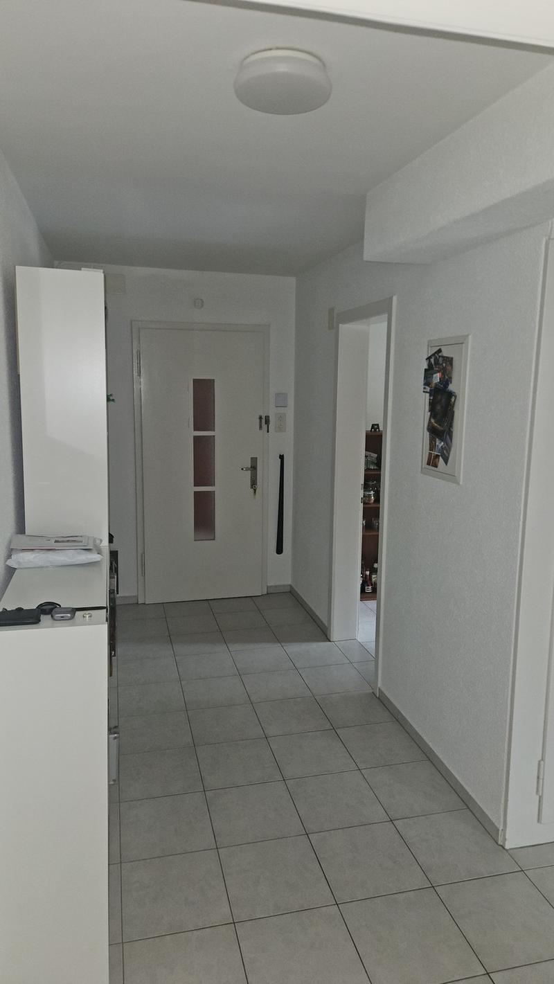 2 1/2 Zimmer-Wohnung (4)