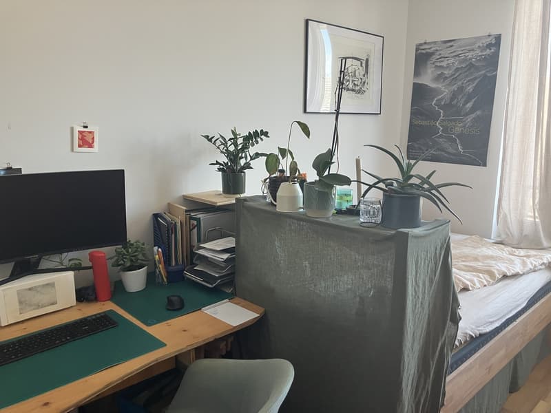 Room in Shared flat (3)