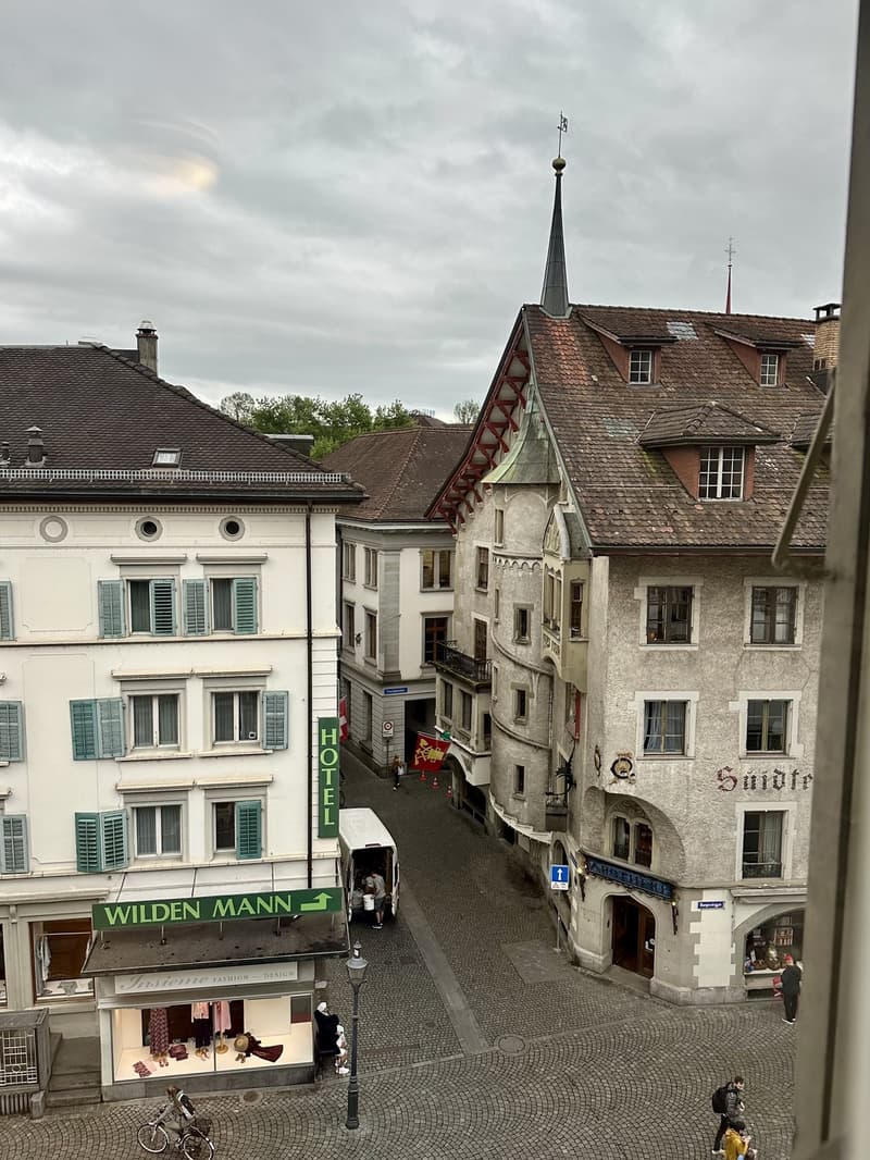 Lichtdurchflutetes 3.5-Zi-Bijou am Rande der Luzerner Altstadt - 8 Gehminuten vom Bahnhof entfernt (9)